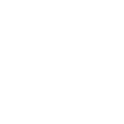 BIM
