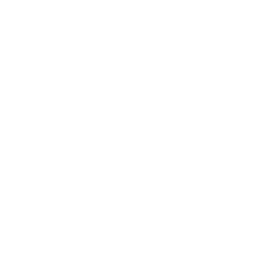 Focus Reports